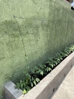 RED EQUIPLEX NEGRO 15 CM AGRICOLA - Imagen 4